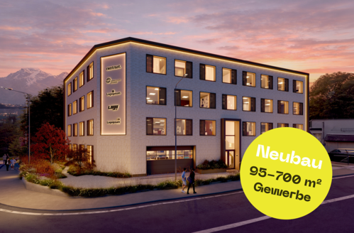 Gewerbefläche<br />Eschenbach, LU